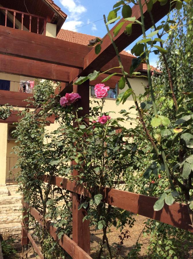 Villa Rosa Navodari Bagian luar foto